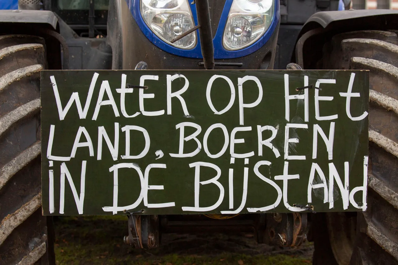 uitgelicht