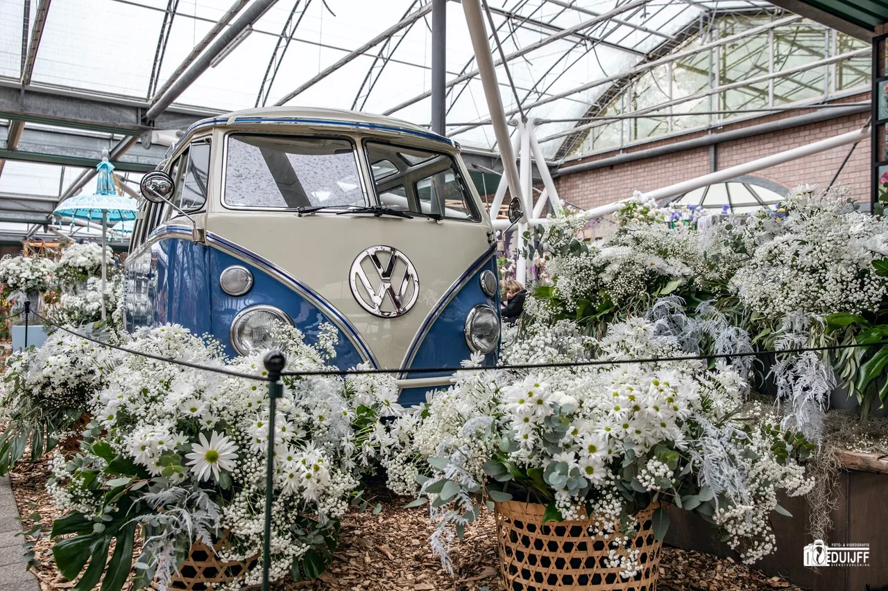 vwbus