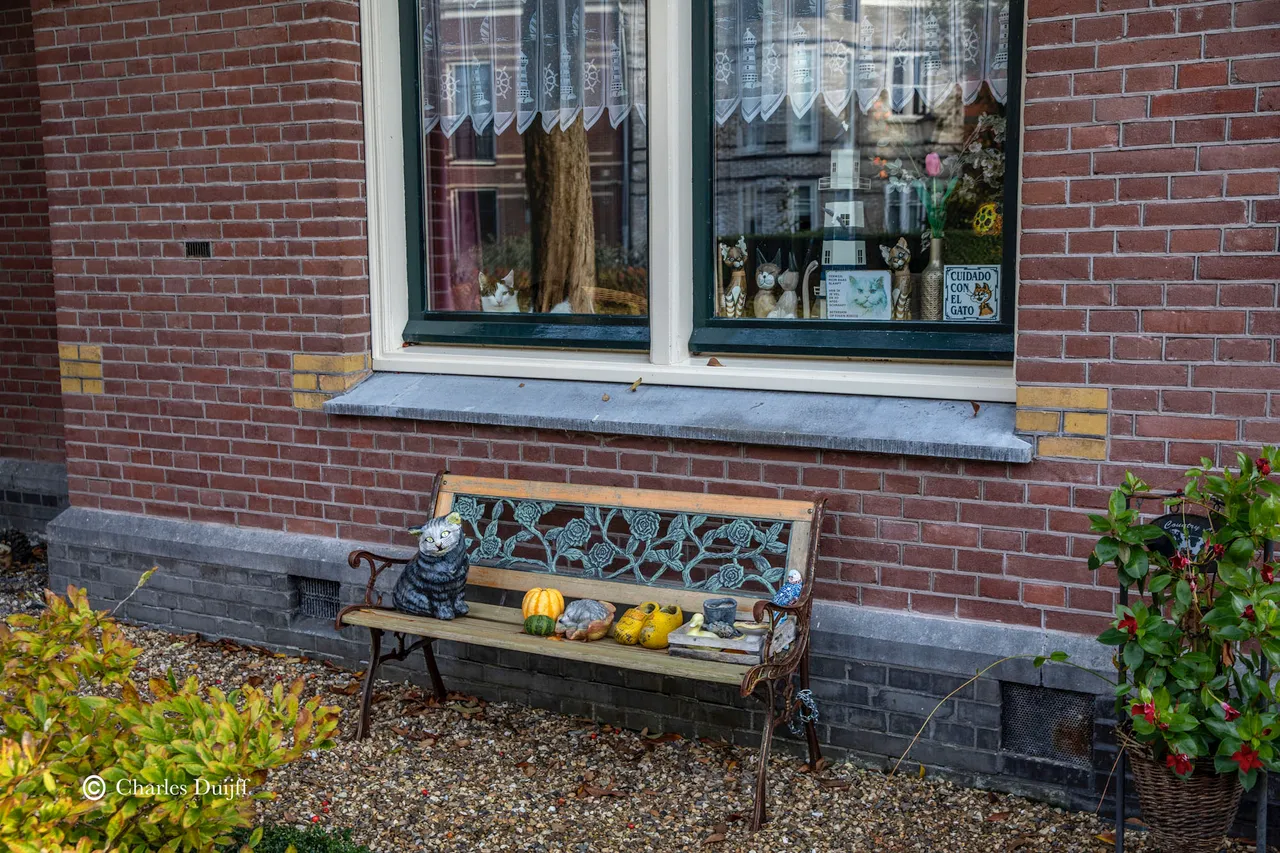 wie is de mol