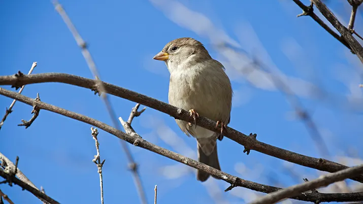 wim meijer fotografie mg 9410