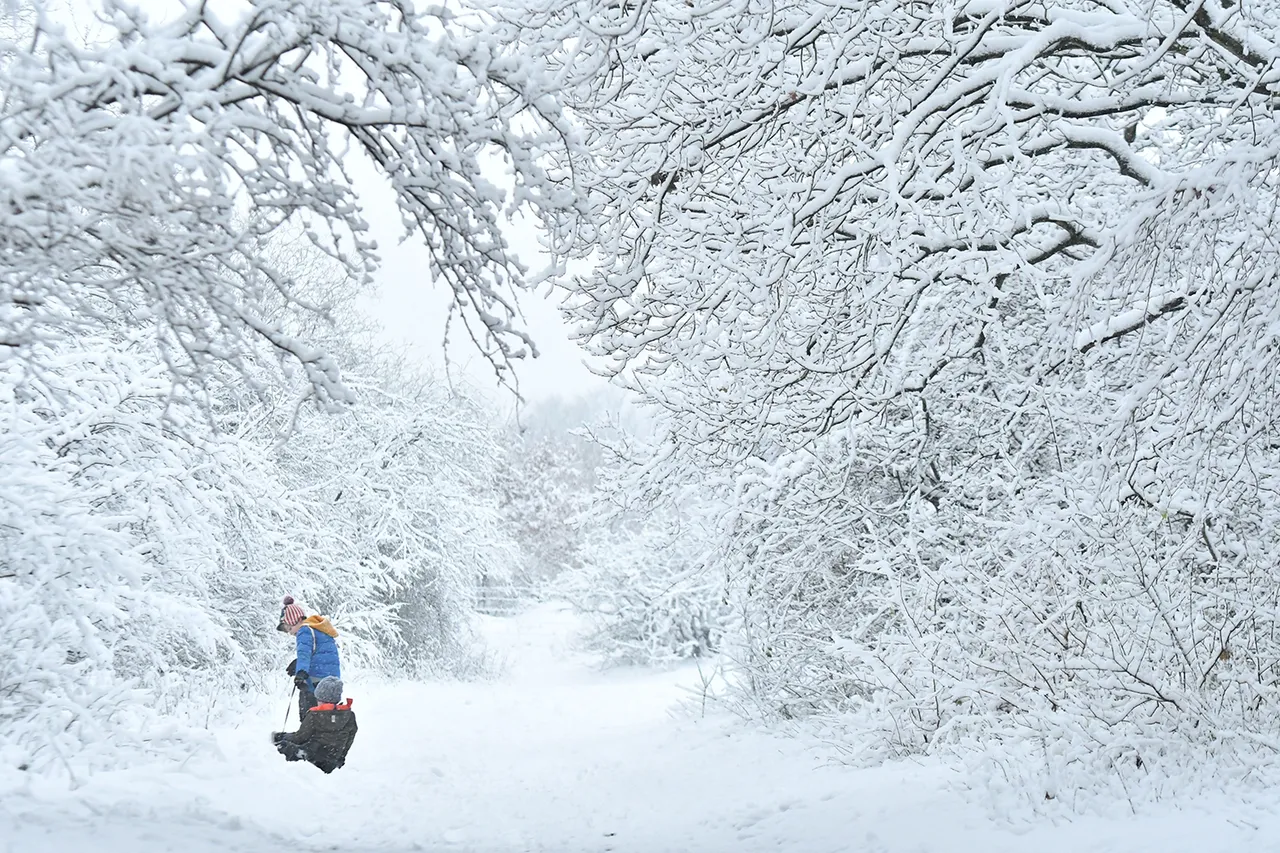 winter3