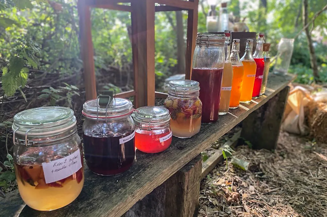 workshop fermenteren kopieren