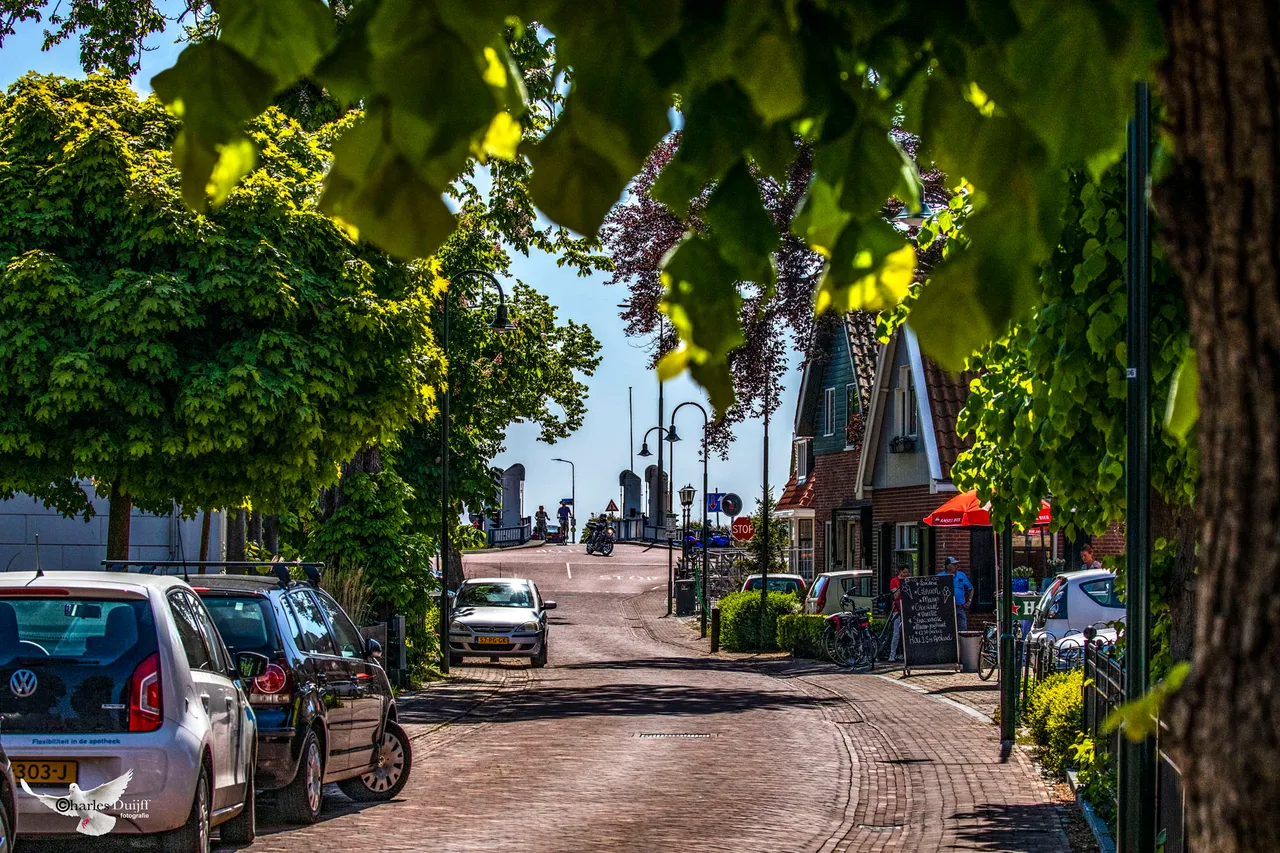 zonnige doorkijk