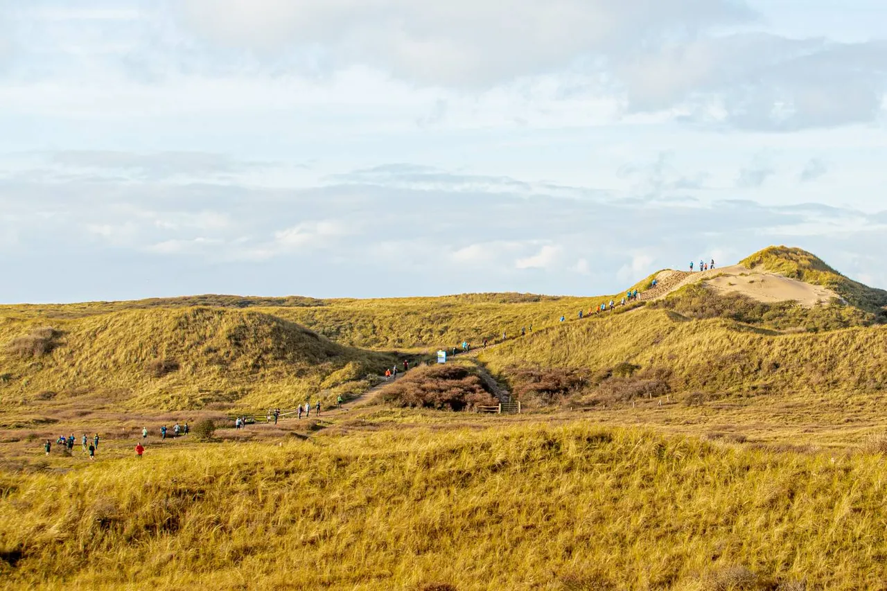 WUy0GSJrUK5K1GFjO6JLyMfQw6Je5aen4K2ELrO2