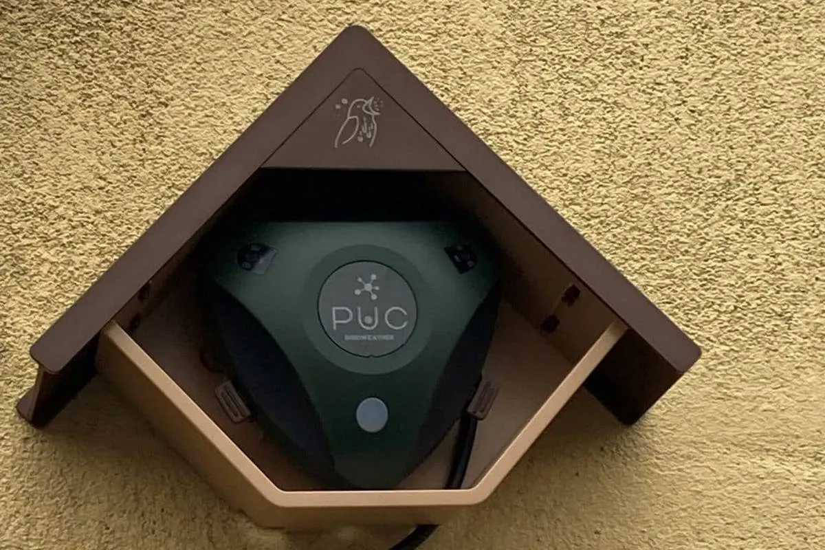 Afbeelding1-1152x1536