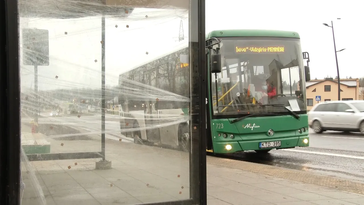 01 05 pailijonai00 00 35 04still001 1