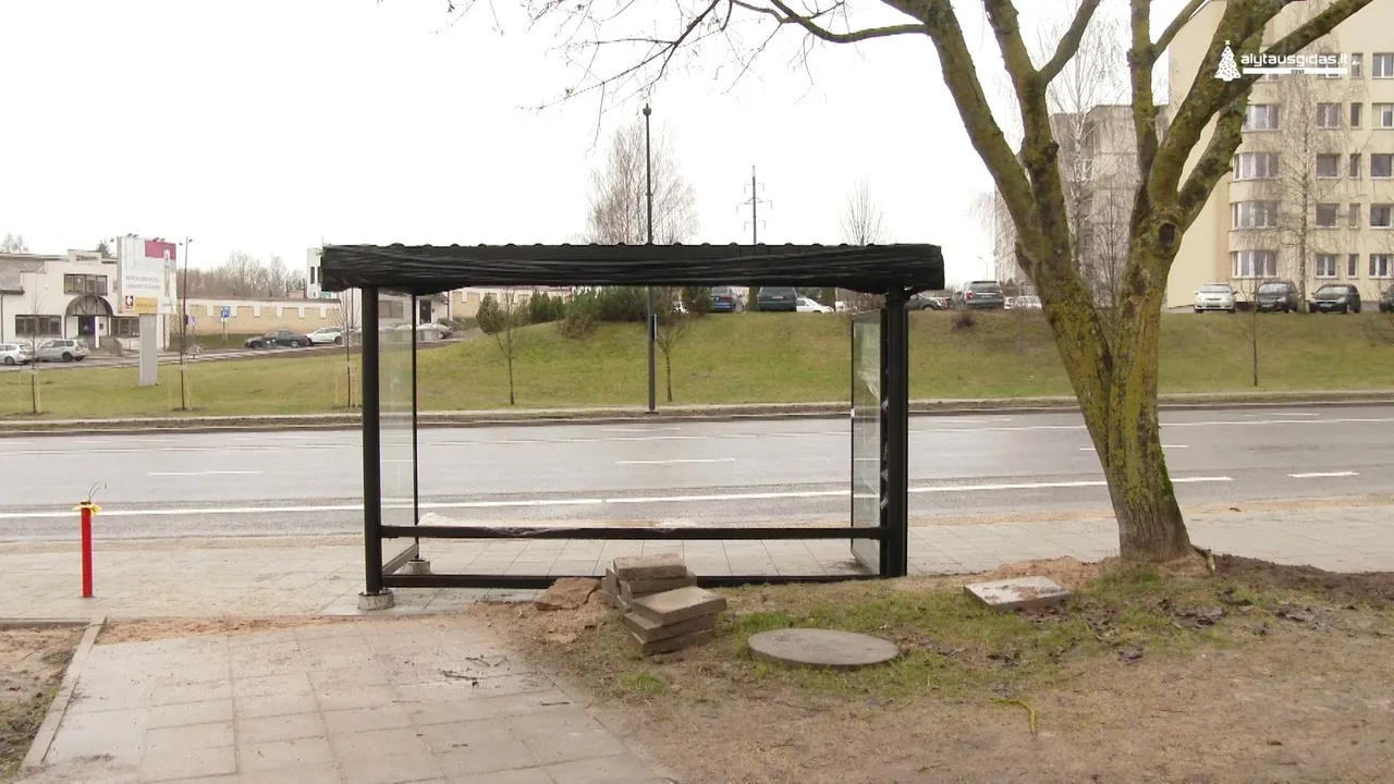 01 05 pailijonai00 03 12 18still005