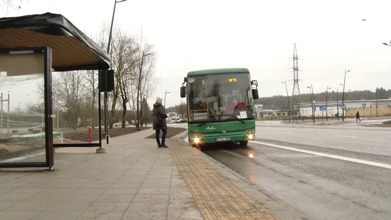 01 05 pailijonai00 04 03 22still008