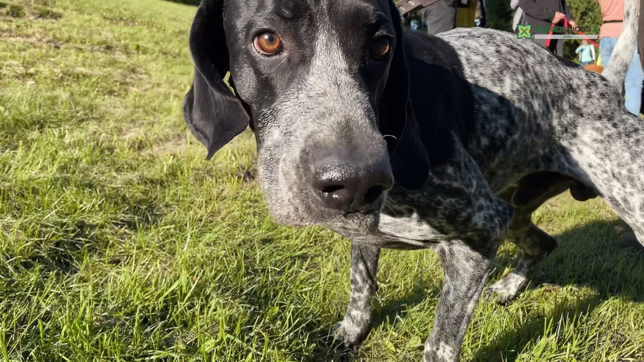 03 po reportazo00 00 06 08still016