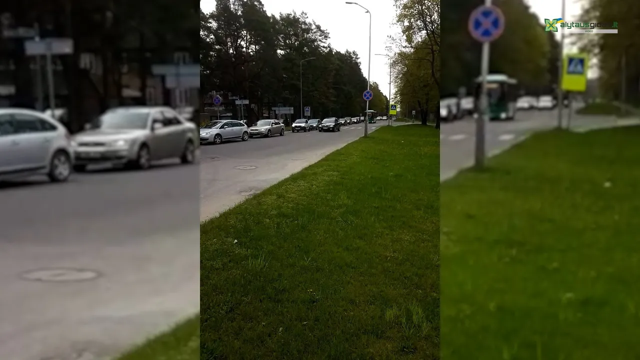 03 po reportazo00 00 15 20still083