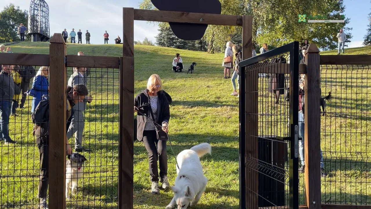 03 po reportazo00 00 23 45still008