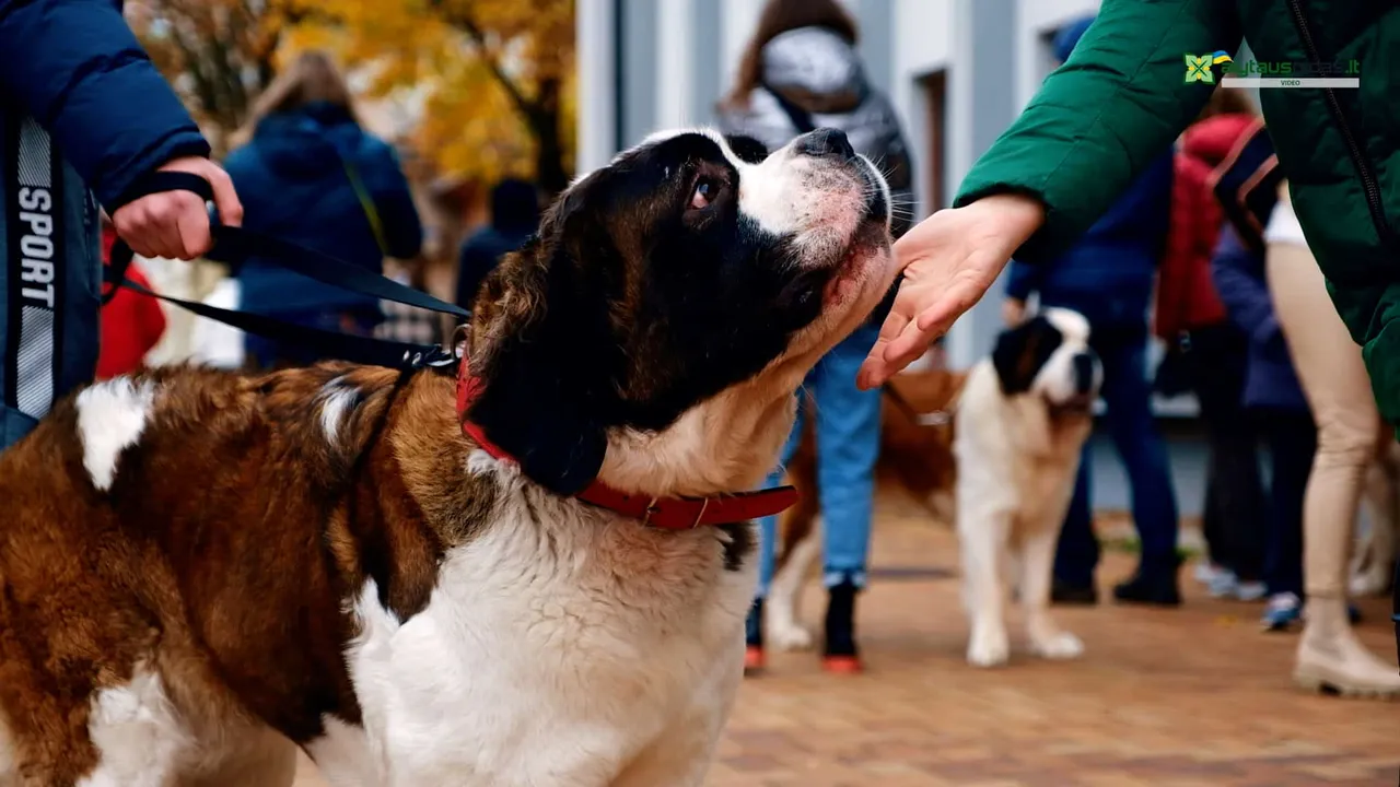 03 po reportazo00 00 29 17still152