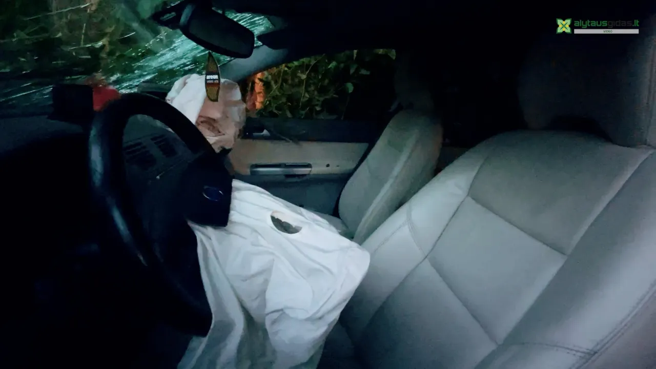 03 po reportazo00 00 29 47still205 jpg