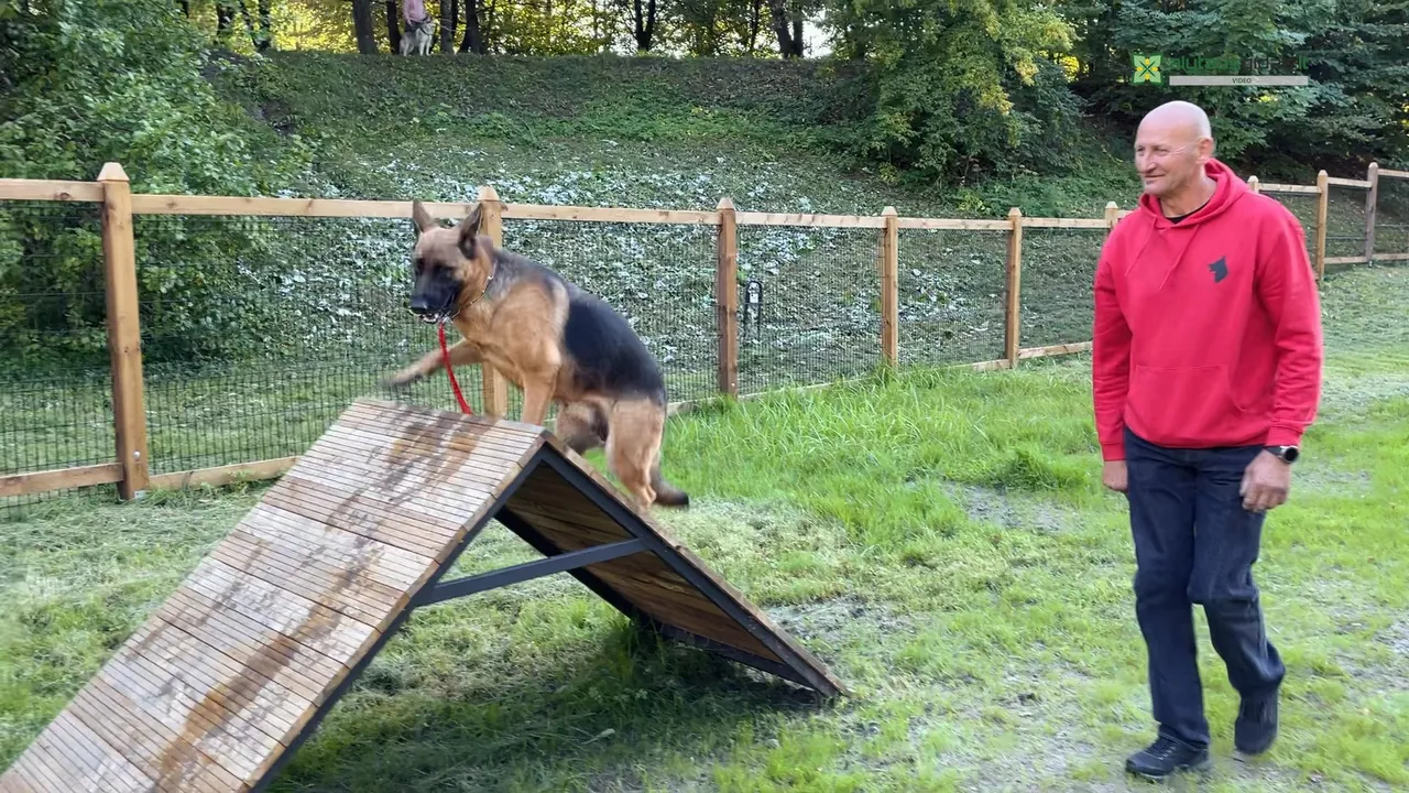 03 po reportazo00 00 45 40still011