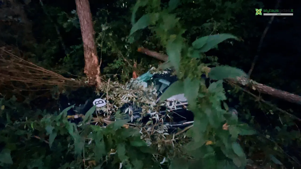 03 po reportazo00 01 05 48still207 jpg