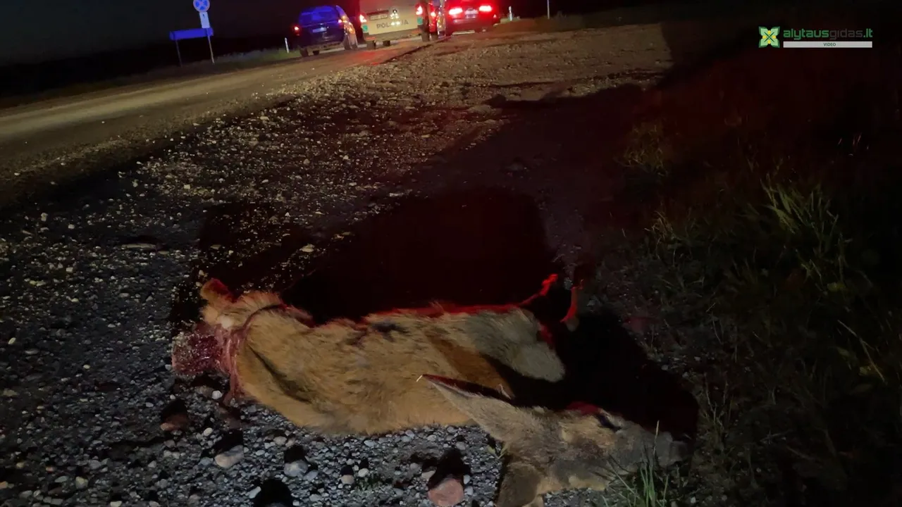 03 po reportazo00 01 12 20still024