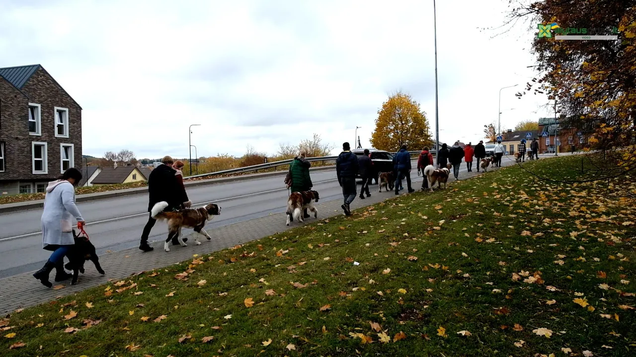 03 po reportazo00 01 22 45still157