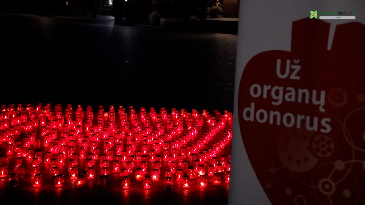 03 po reportazo00 01 24 39still256