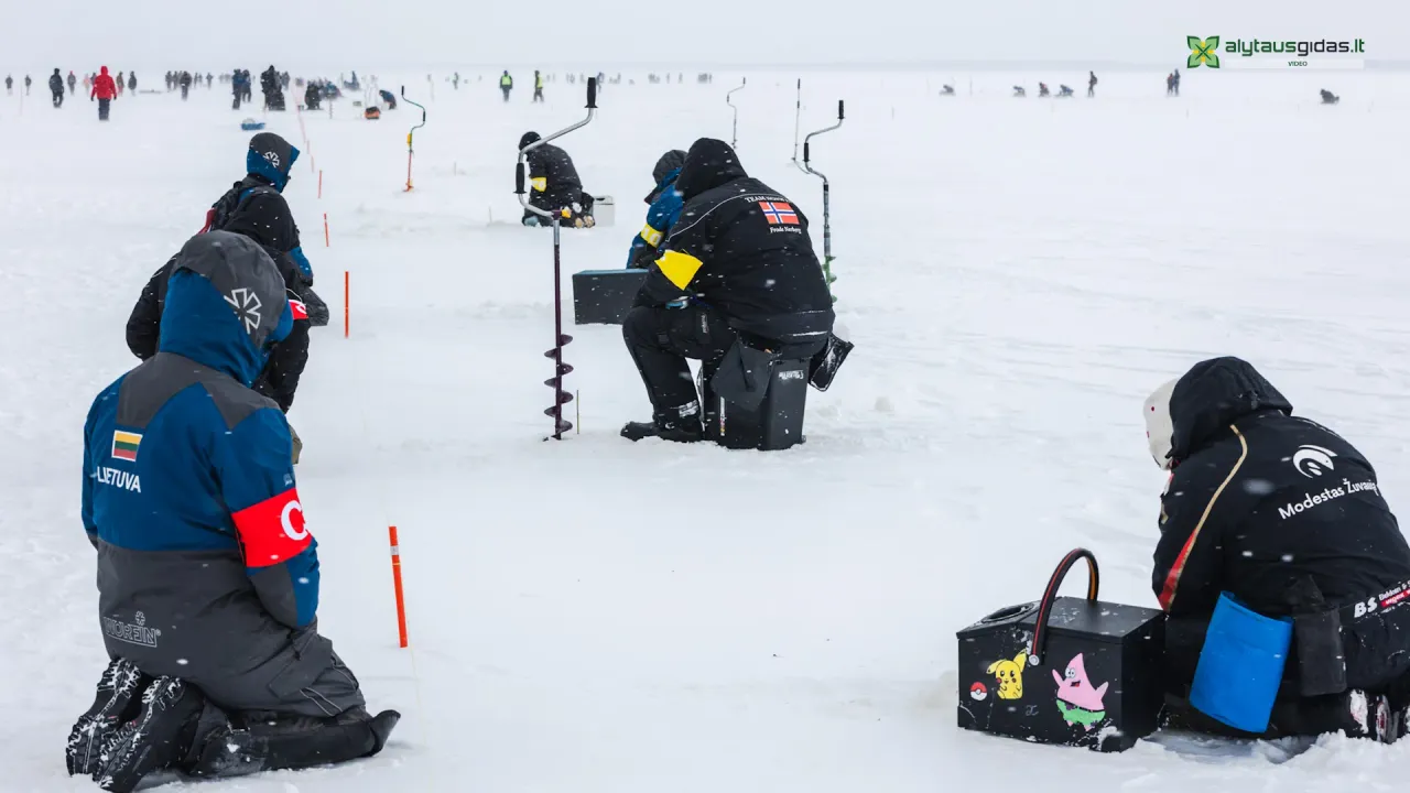 03 po reportazo00 01 31 16still063 jpg