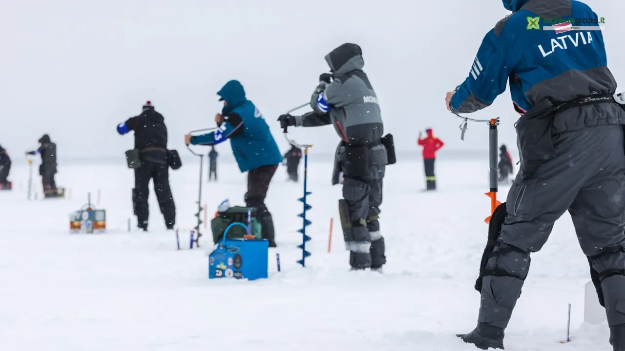 03 po reportazo00 01 41 29still064 jpg