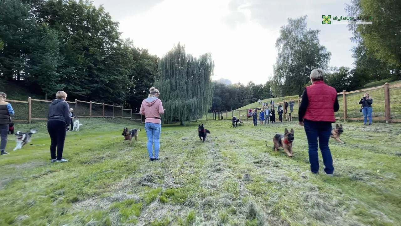 03 po reportazo00 01 44 49still012