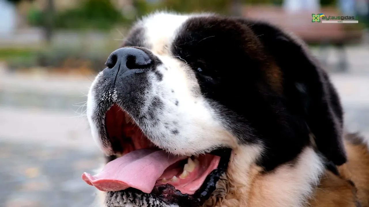 03 po reportazo00 01 47 16still159