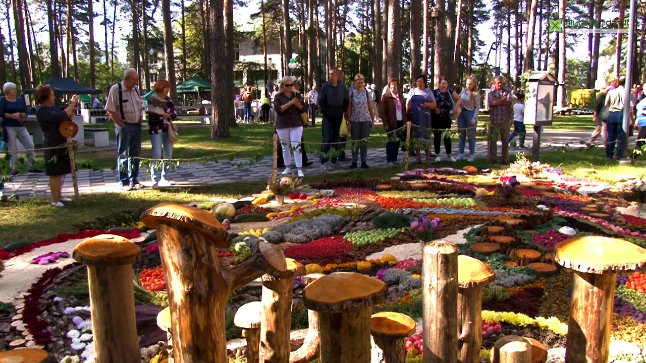 03 po reportazo00 02 10 05still232 jpg