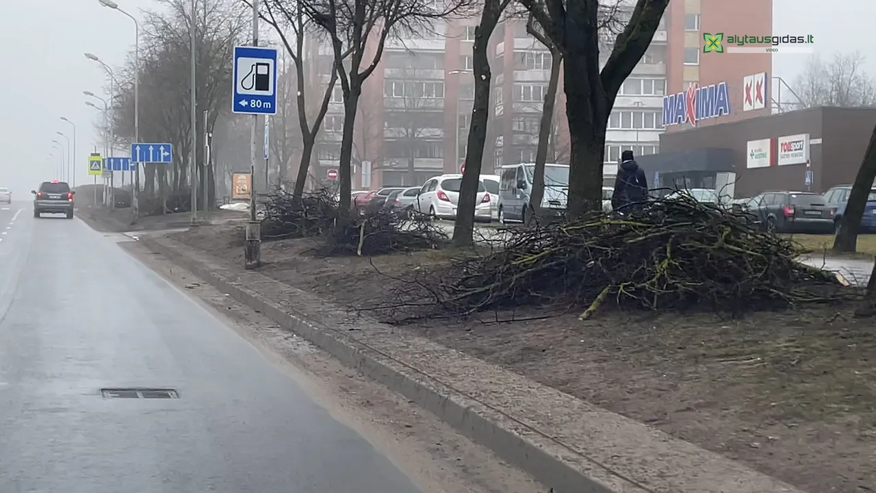 03 po reportazo00 03 33 02still029