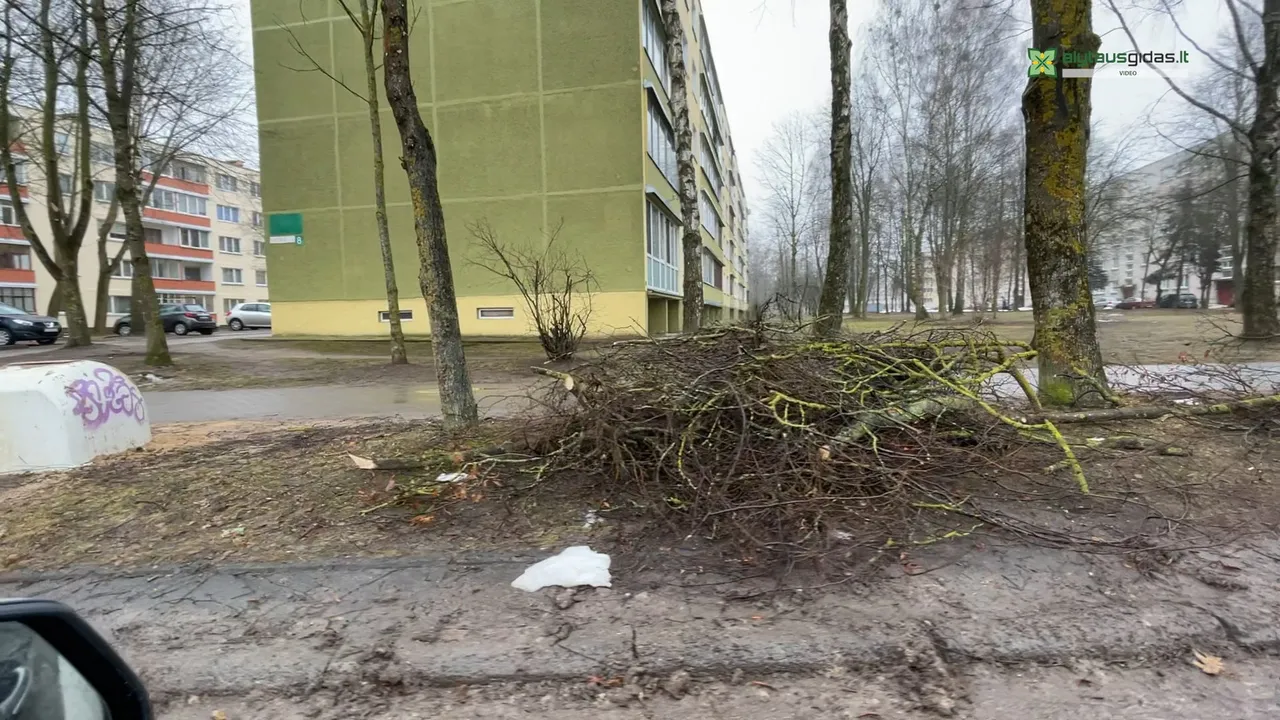 03 po reportazo00 03 34 16still031