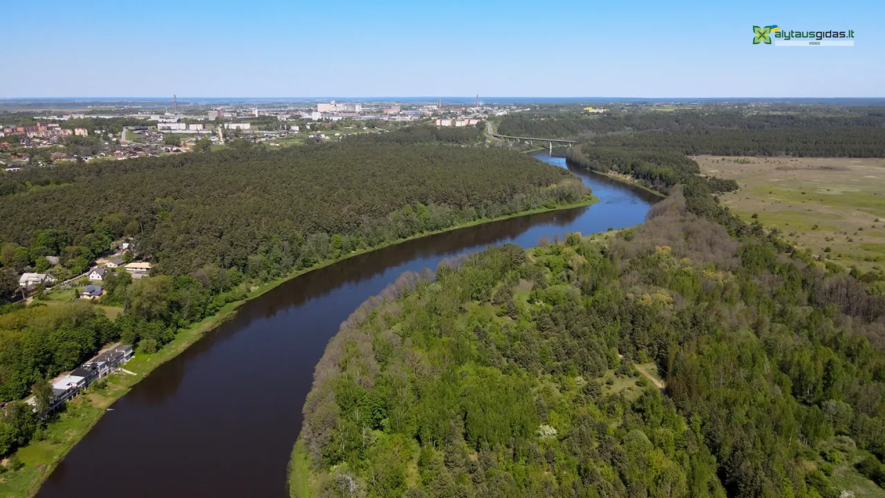 03 po reportazo00 03 37 02still141 jpg