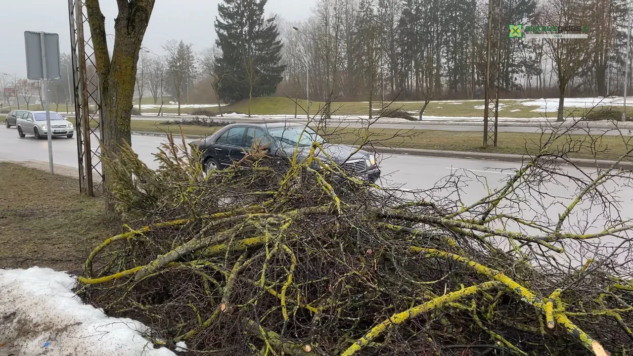 03 po reportazo00 03 40 03still028