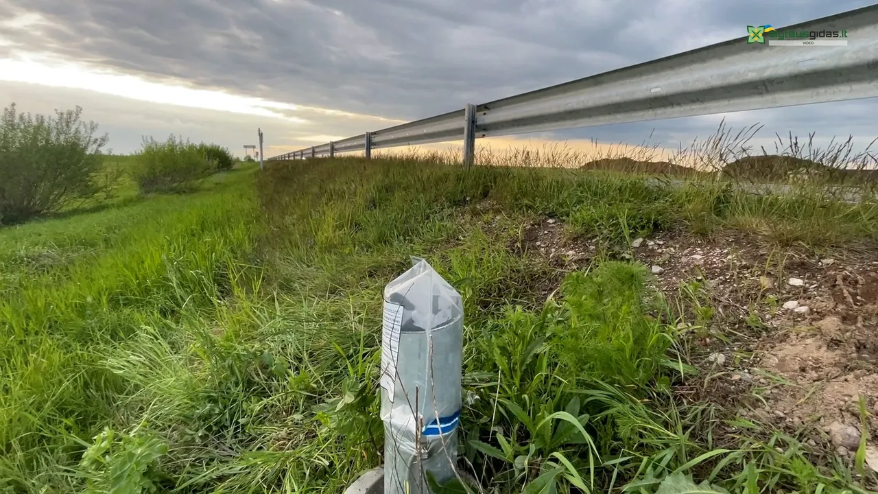 03 po reportazo00 14 15 07still072