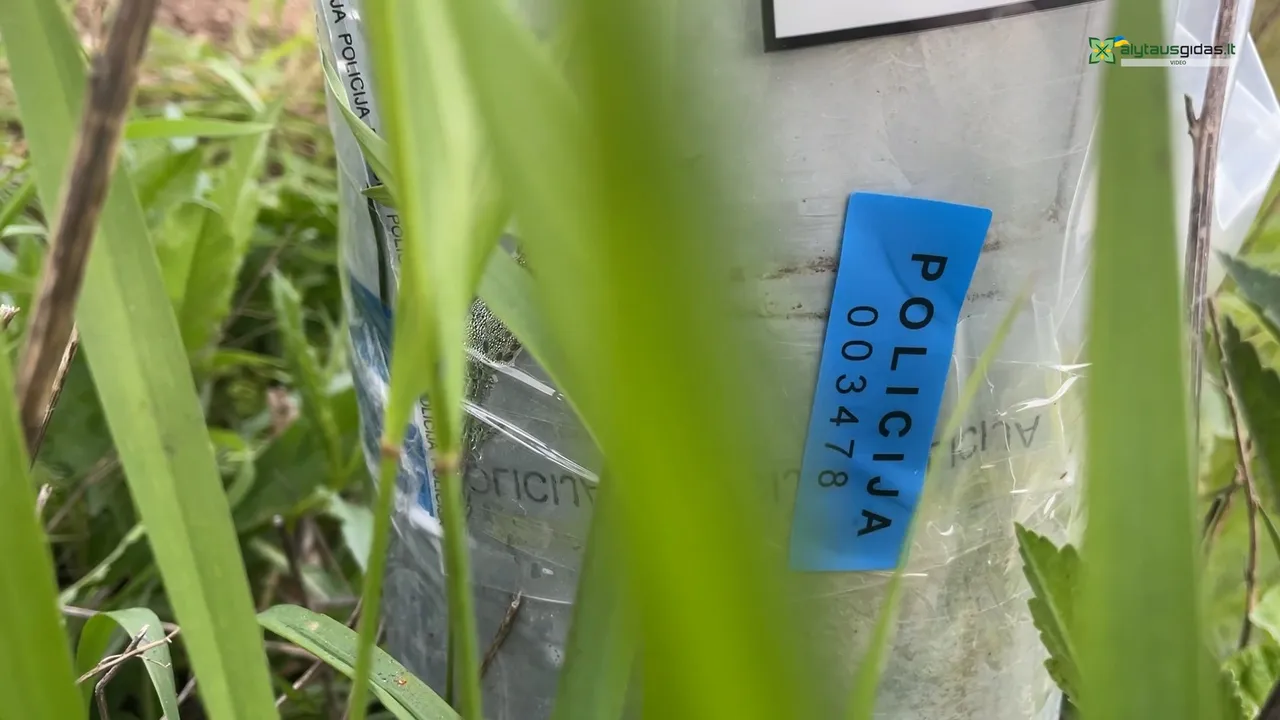 03 po reportazo00 14 53 18still073