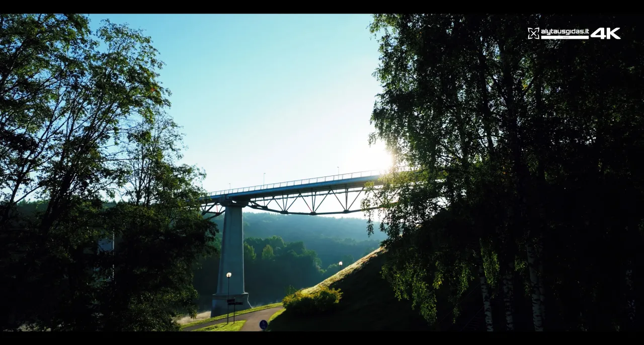 09 19 rytinis rukas00 01 31 40still009 scaled