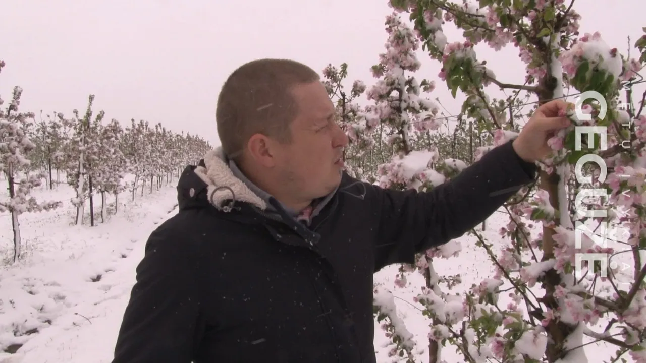 12 31 block postaqi00 06 22 24still017