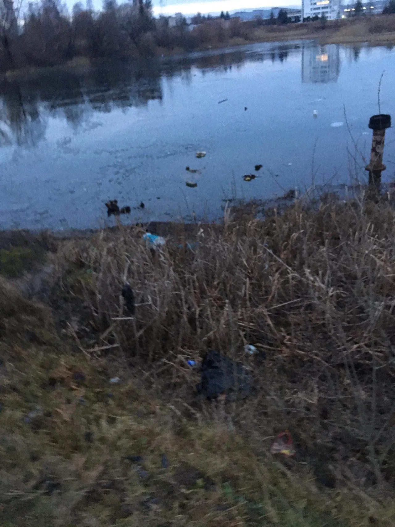 134082728 216598963391941 6083697515767071199 n