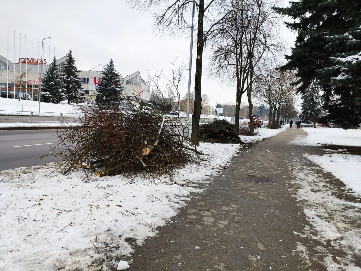 138137050 1075418452918208 1233963636124190909 n