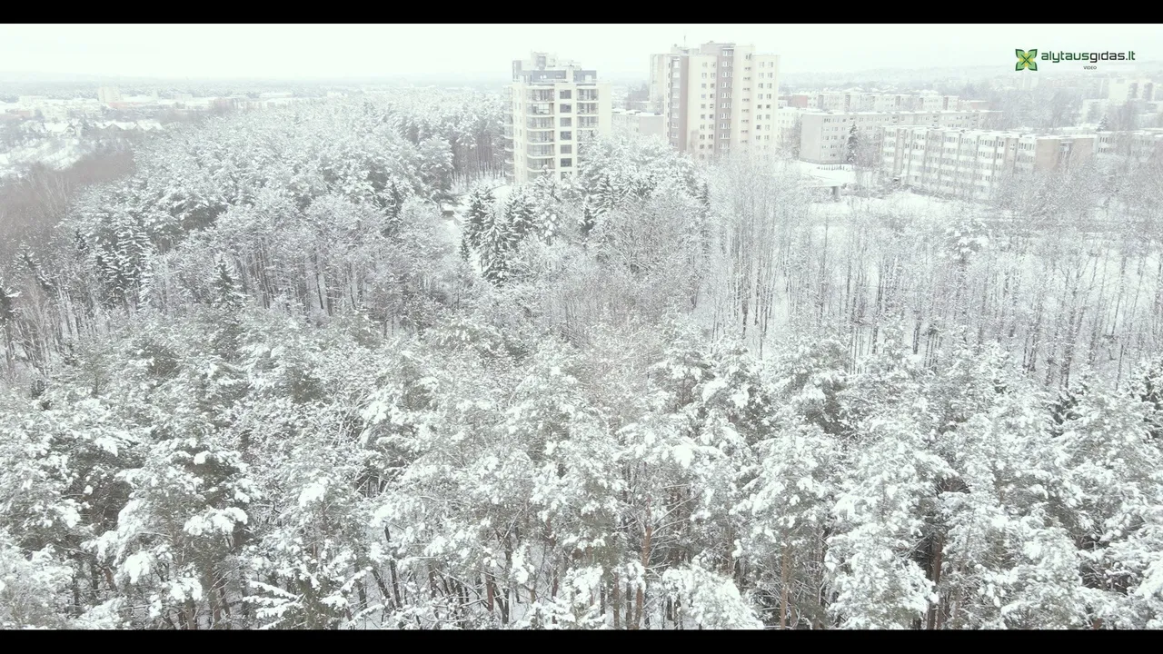 139793937 3757866657568172 6438272004143164769 n