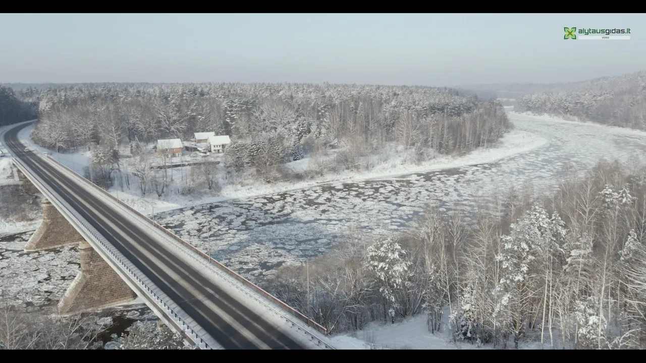 139992848 235606048140491 4796152755020219506 n