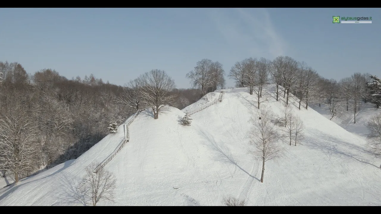 140057735 3994667207222456 1617122728863855793 n