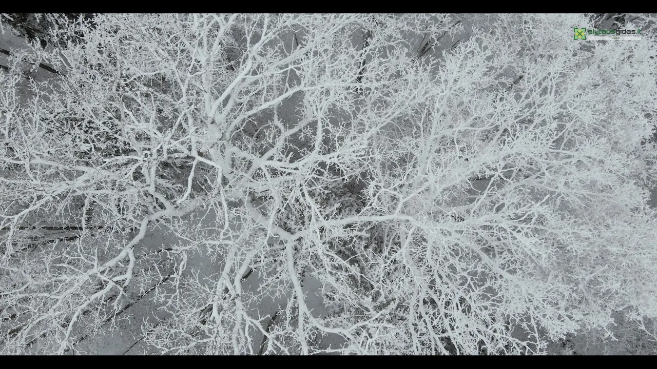 140239776 3102964579930452 6206844338241504693 n