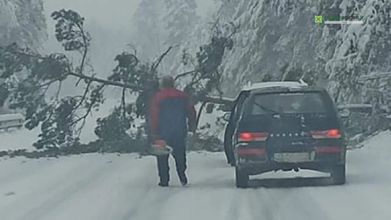 142444226 171704754712576 4380436087725737433 n