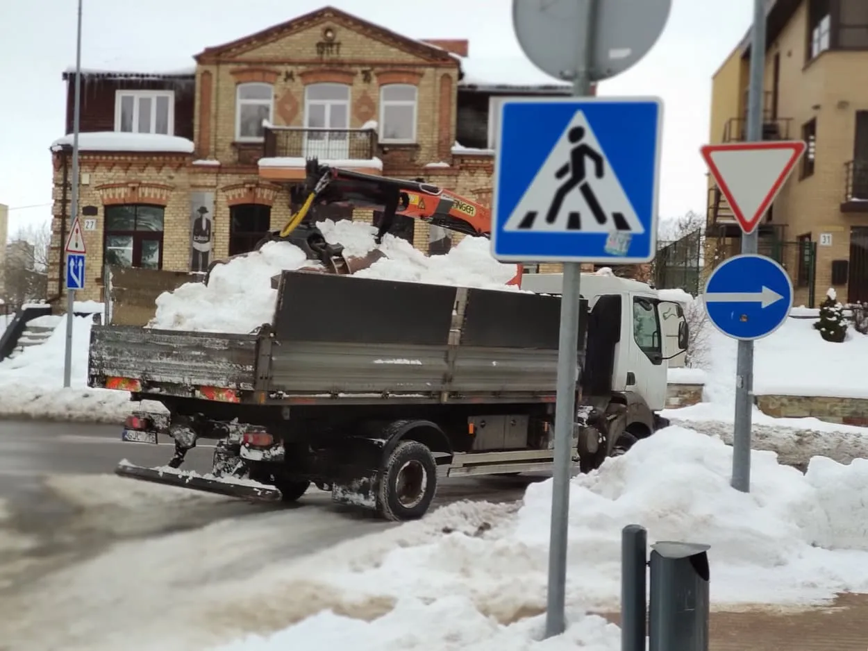 145809709 1393395067669501 7347230963465494732 n