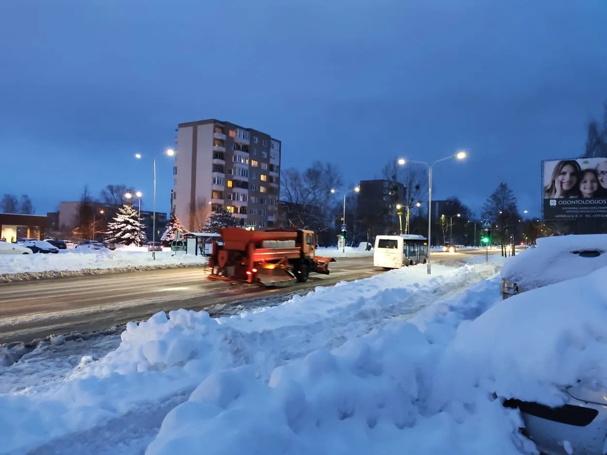 146137852 1153340935116460 2813453886256307985 n