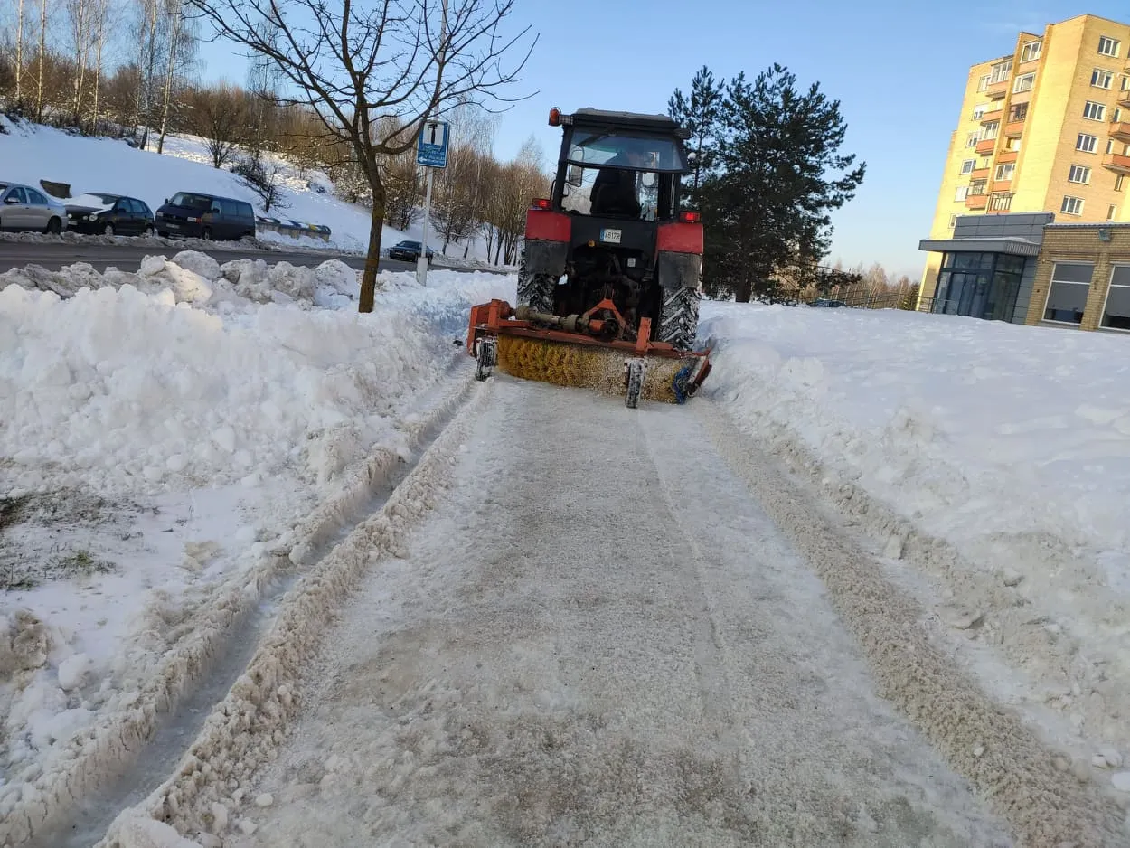 146181005 174081097829663 1252647125855983243 n