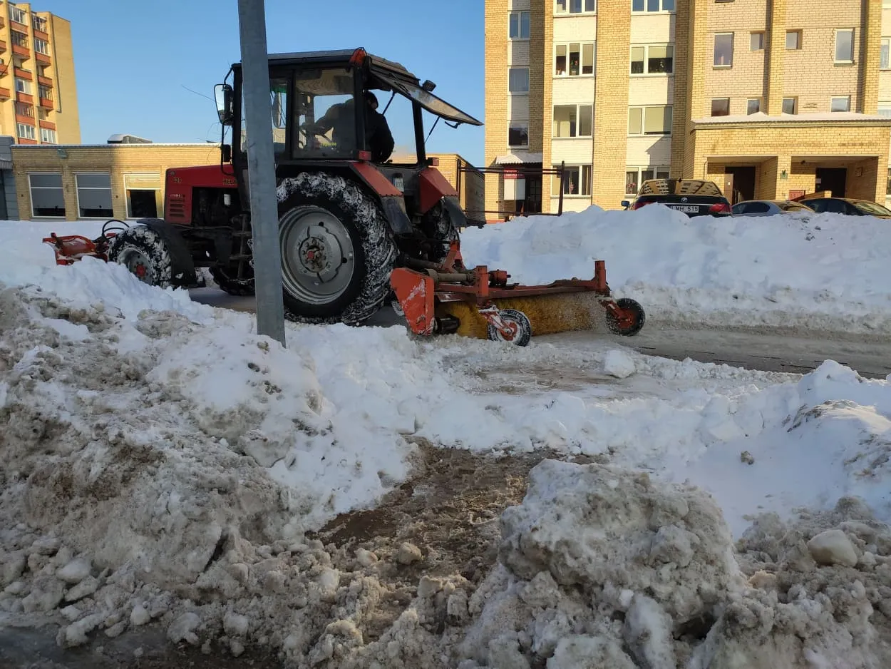 146356373 535341030713521 3086405191042589644 n