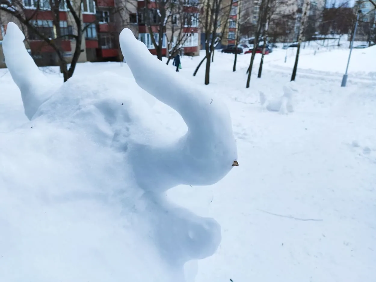 150913741 327192318899714 1546412895478492217 n