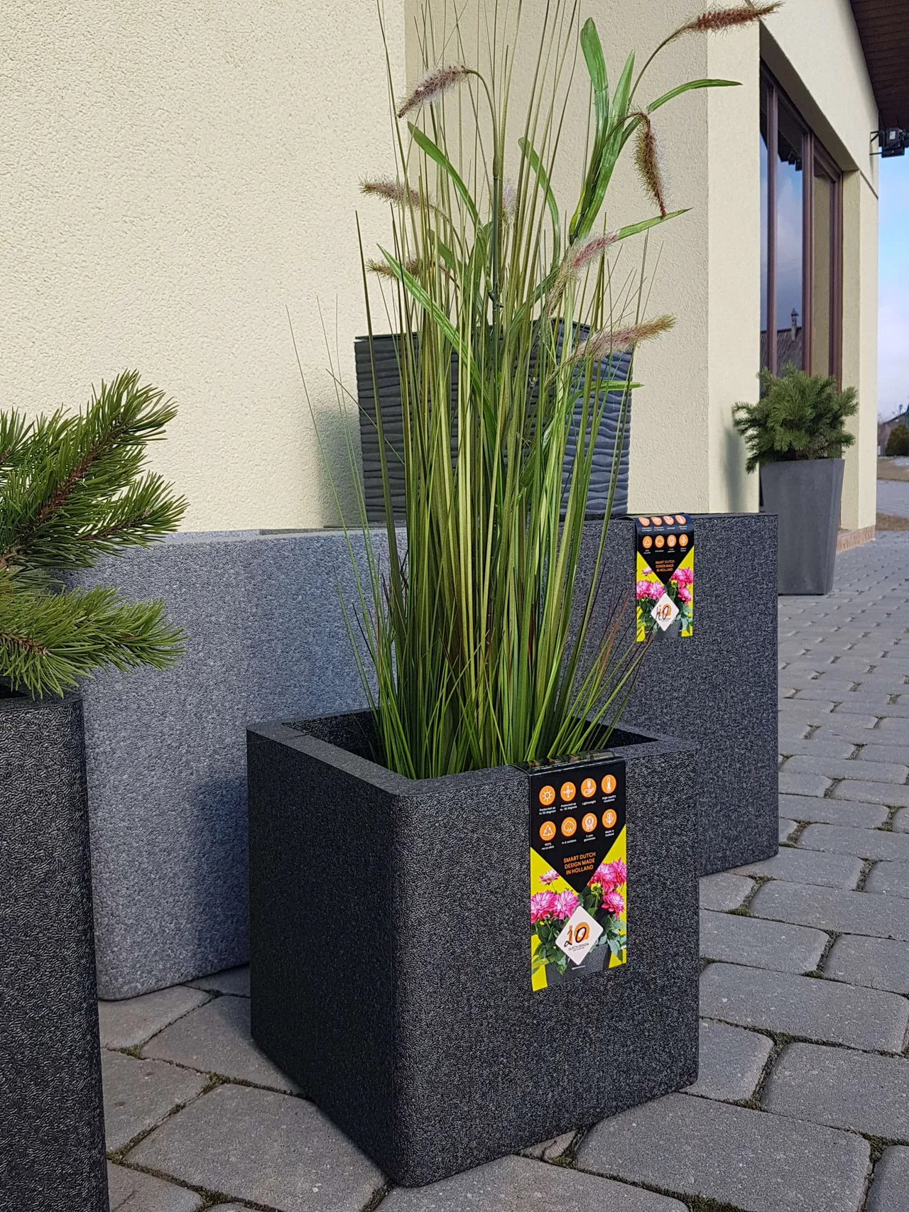 162171505 281226960209570 5819284503821182054 n