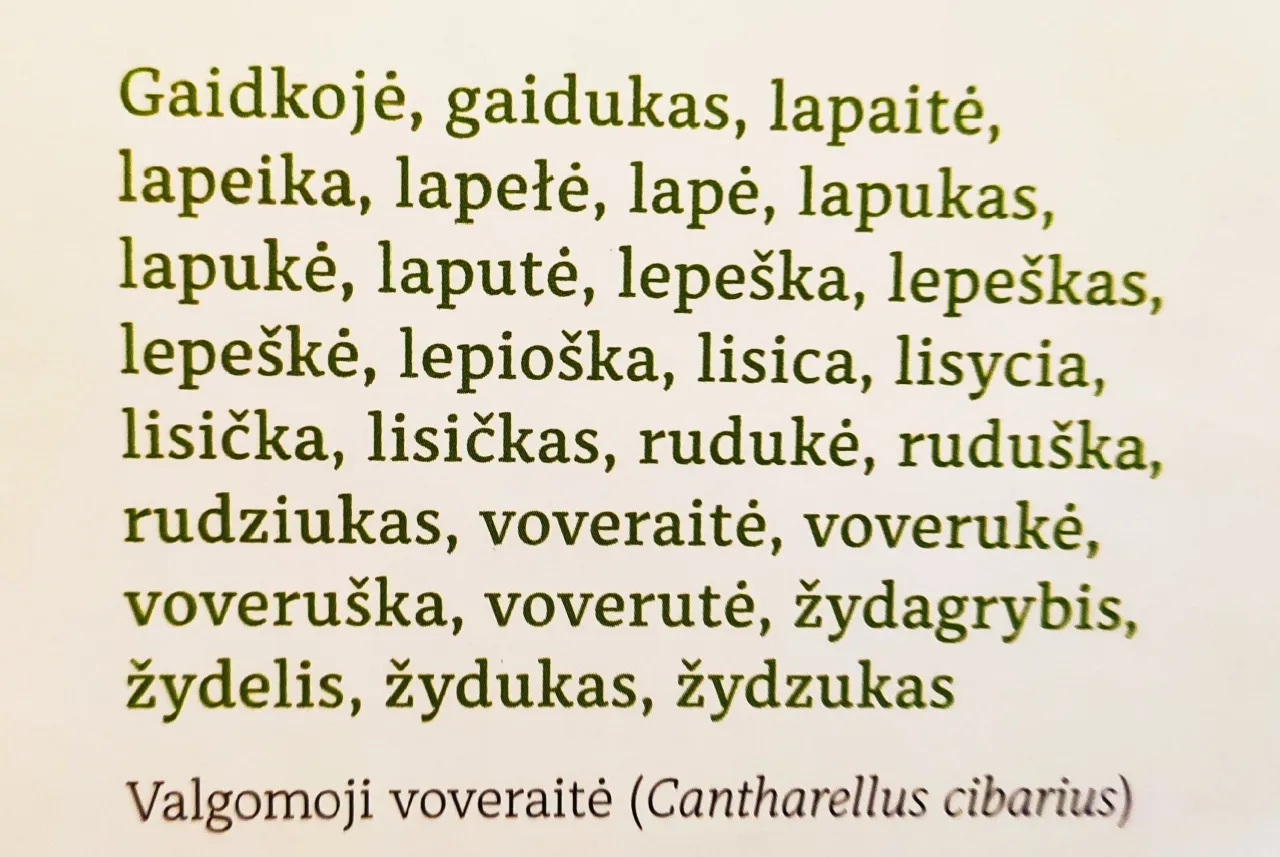 1625043662281 scaled