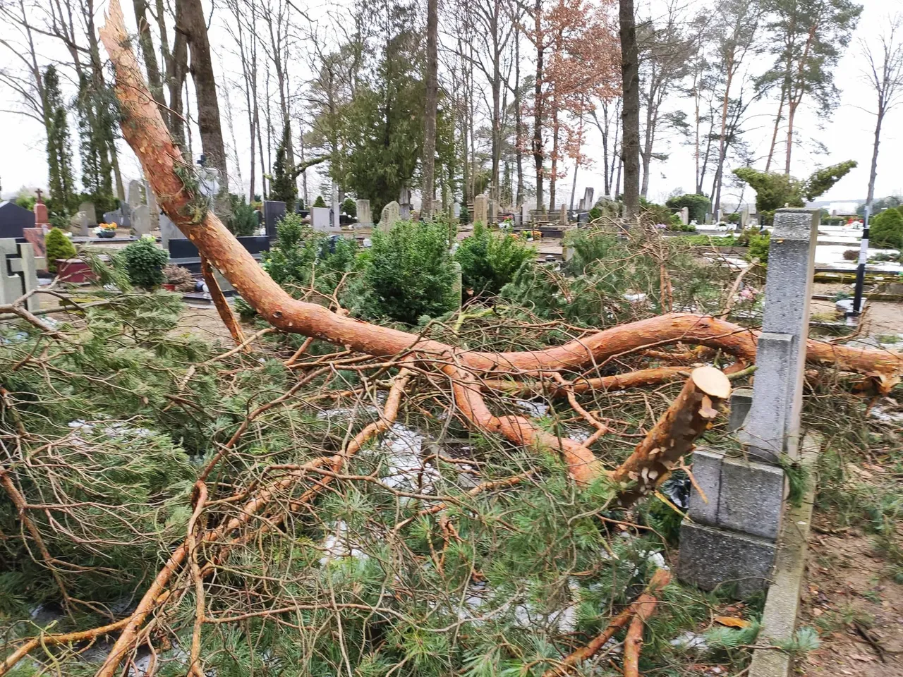 163627748 199134901982134 7087310337303909311 n 1